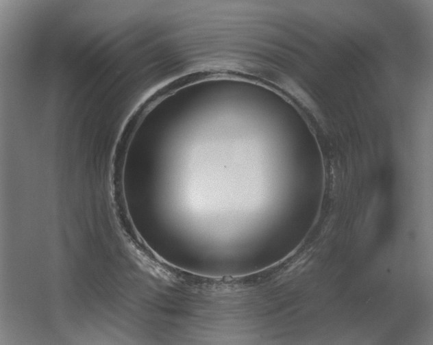 X0000067341020200603311120
