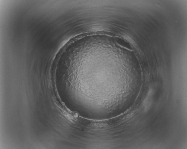 X0000067341023200603311120