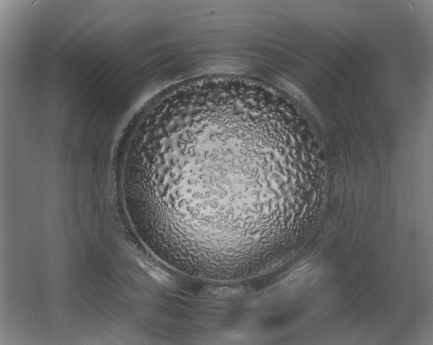 X0000067341027200603311121