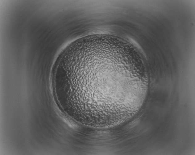 X0000067341035200603311121