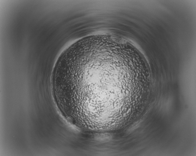 X0000067341045200603311121