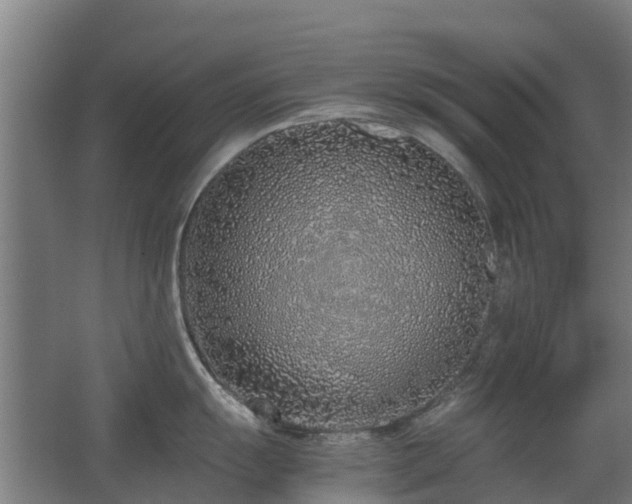 X0000067341055200603311121