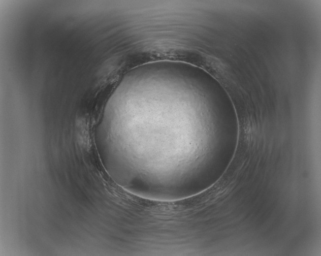 X0000067341060200603311120