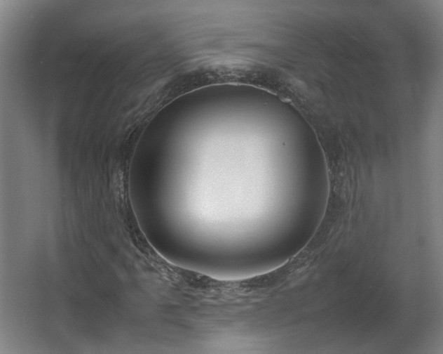 X0000067341061200603311120