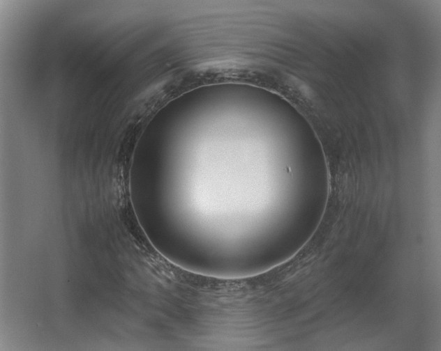 X0000067341062200603311120