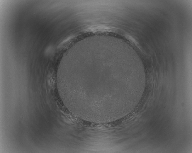 X0000067341063200603311120