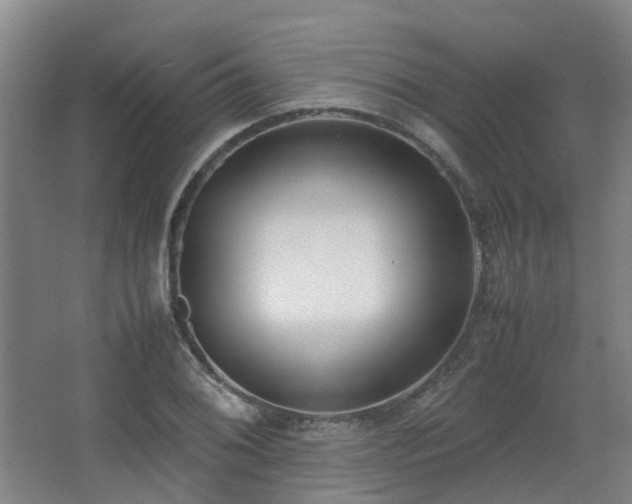 X0000067341076200603311120