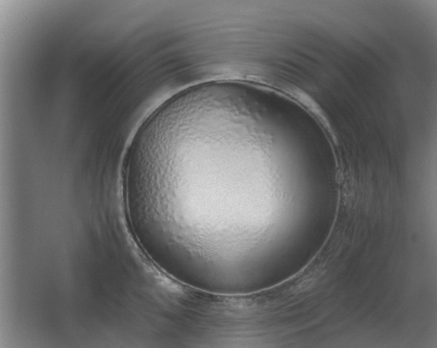 X0000067341096200603311120