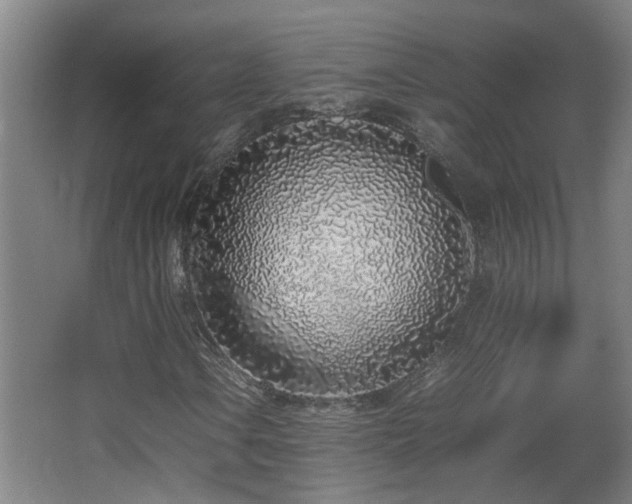 X0000067341106200603311119