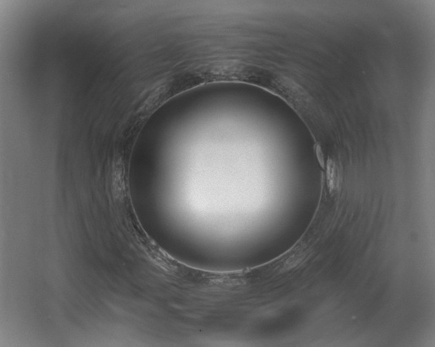 X0000067341107200603311119