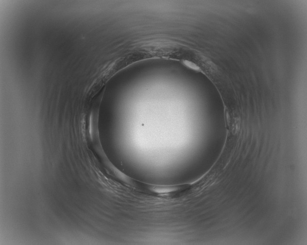 X0000067341108200603311119