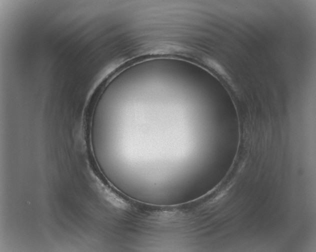X0000067341122200603311119