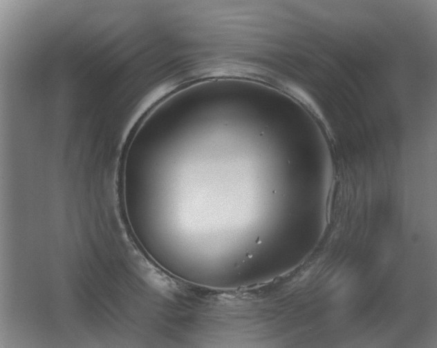 X0000067341138200603311119