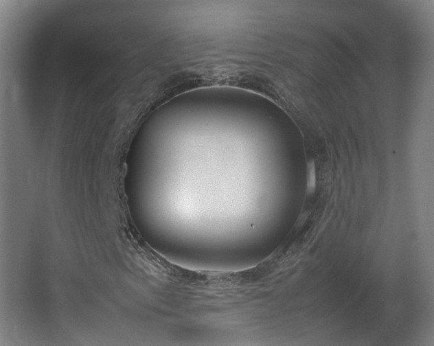 X0000067341153200603311119