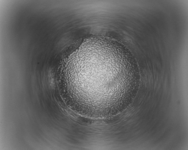 X0000067341154200603311119