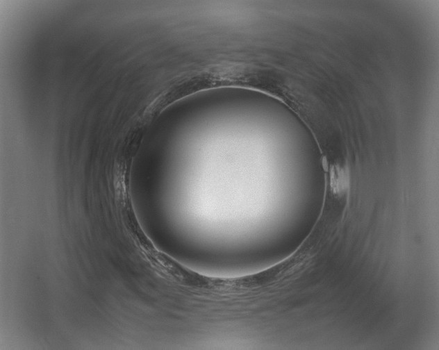 X0000067341155200603311119