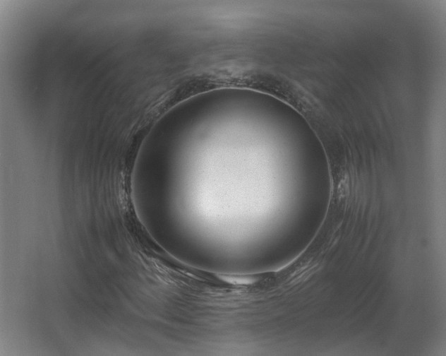 X0000067341156200603311119