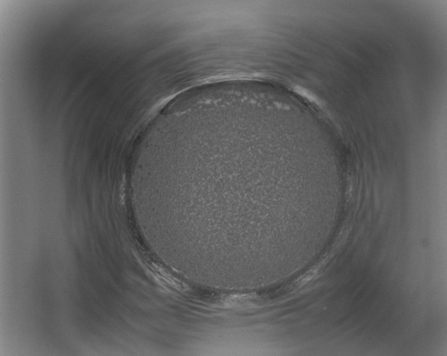 X0000067341161200603311118