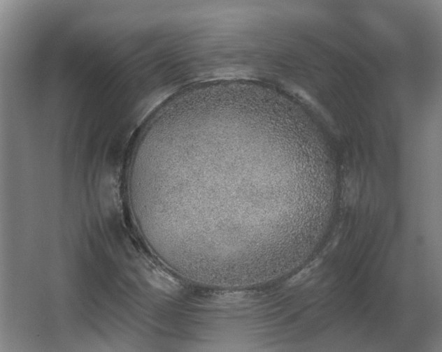 X0000067341162200603311118