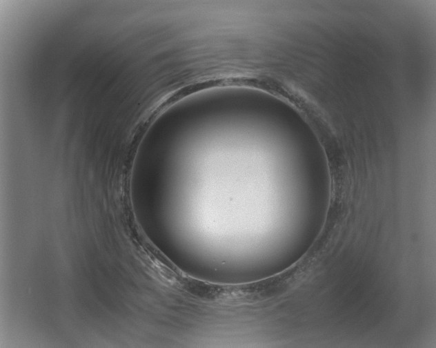 X0000067341169200603311118