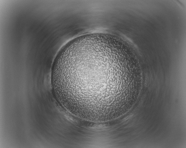 X0000067341174200603311118