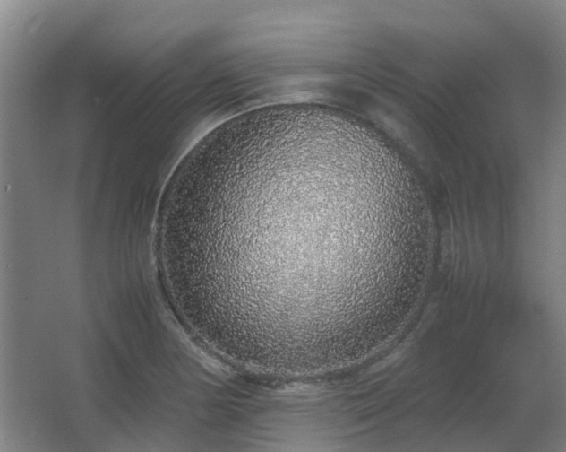 X0000067341178200603311118