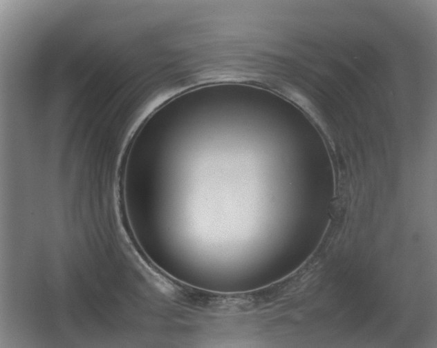 X0000067341187200603311118