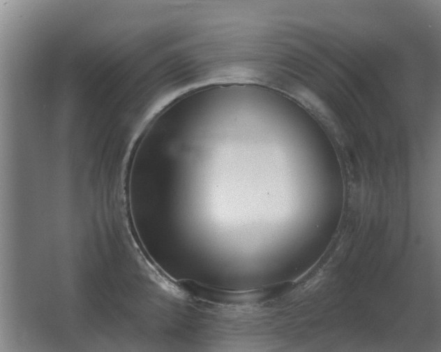 X0000067341192200603311118