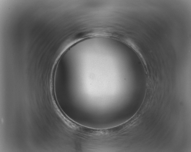 X0000067341195200603311118