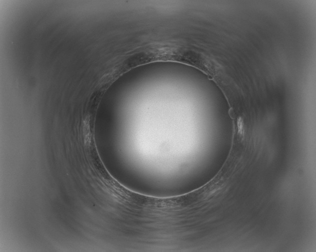 X0000067341203200603311117
