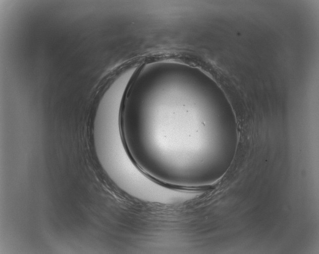 X0000067341206200603311117