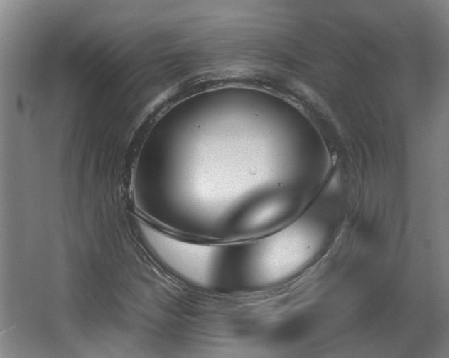 X0000067341210200603311117