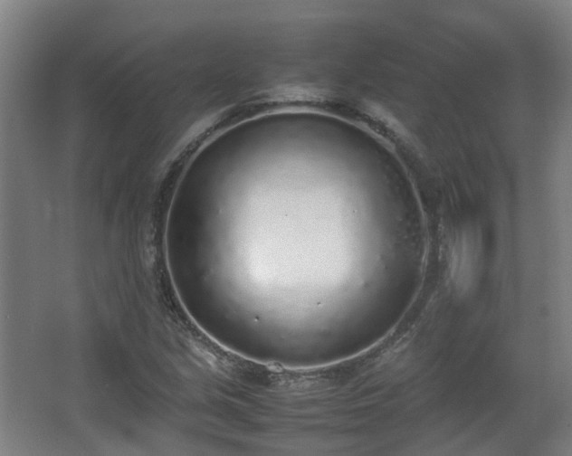 X0000067341213200603311117