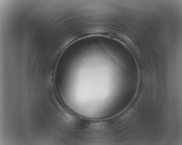 X0000067341225200603311117