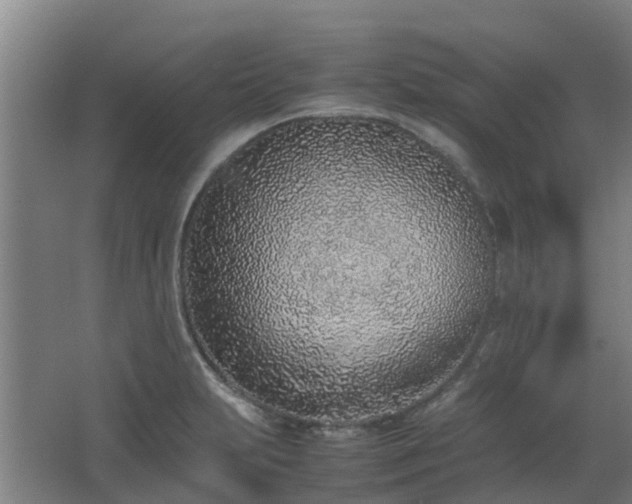 X0000067341231200603311118