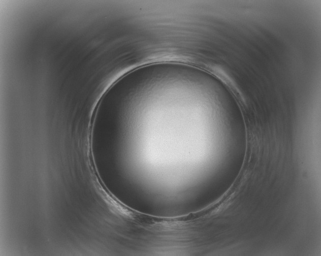 X0000067341244200603311118