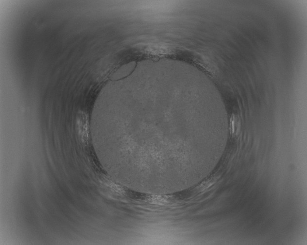 X0000067341251200603311117