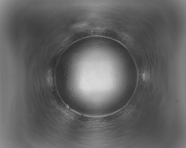 X0000067341252200603311117