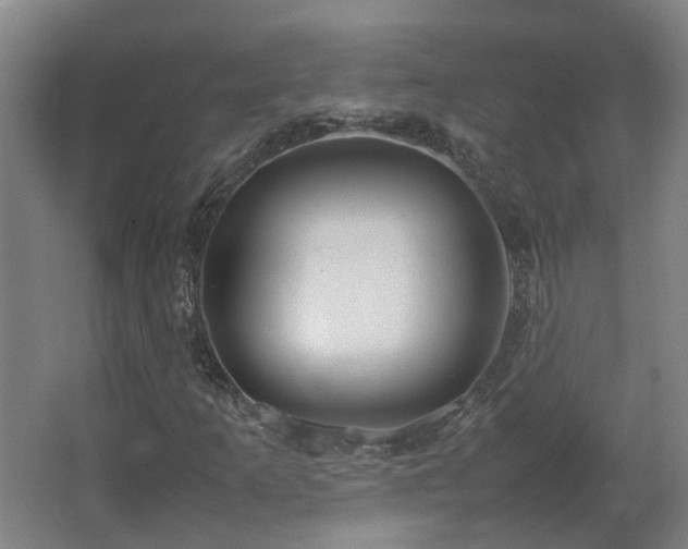 X0000067341253200603311117