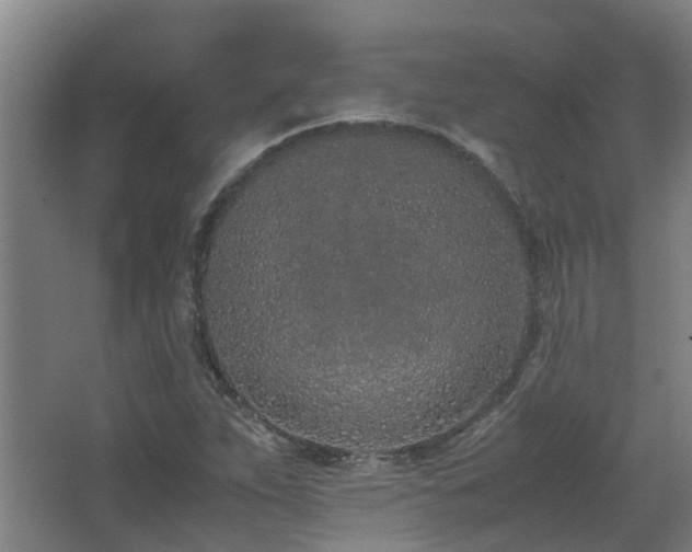 X0000067341263200603311117