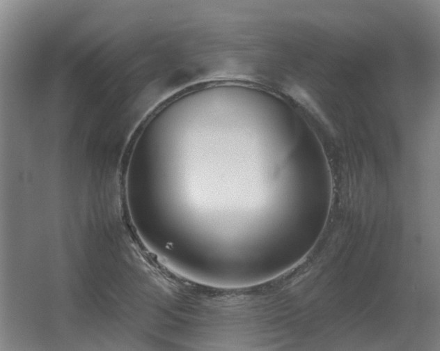 X0000067341268200603311117