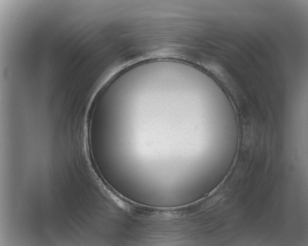 X0000067341286200603311116