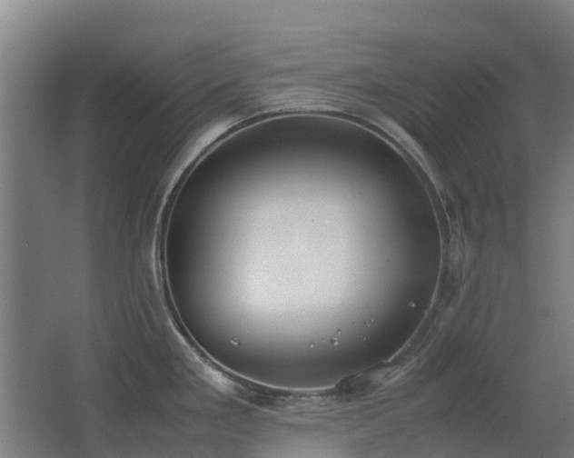 X0000067341293200603311116
