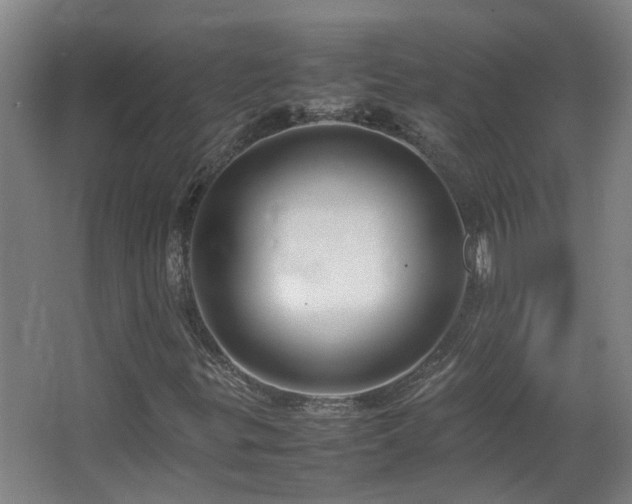 X0000067341299200603311115