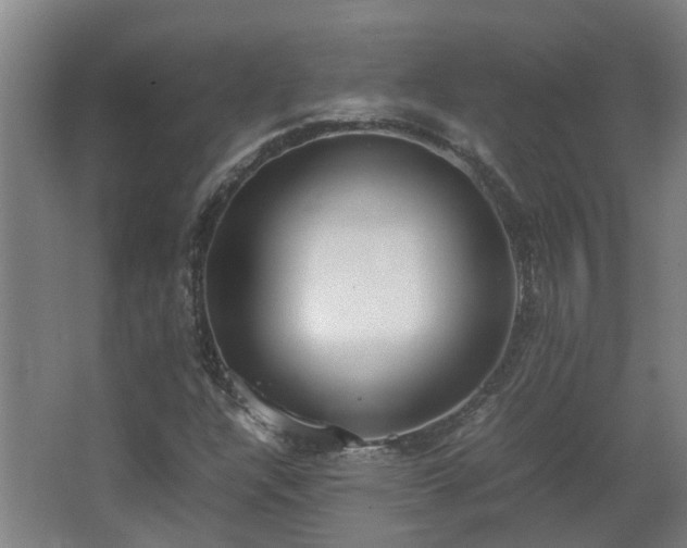 X0000067341304200603311115