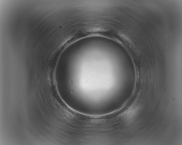 X0000067341305200603311116