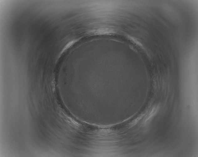X0000067341306200603311116