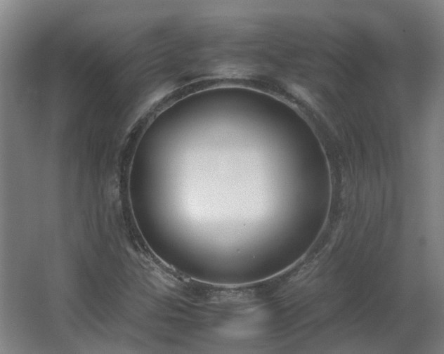 X0000067341307200603311116