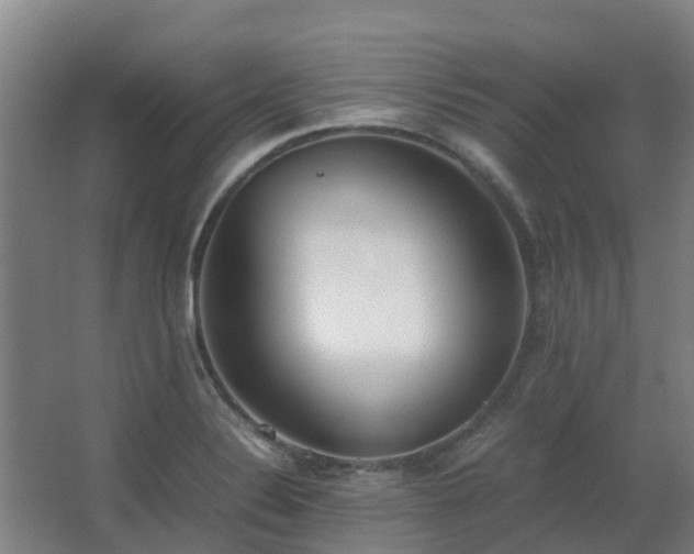 X0000067341324200603311116