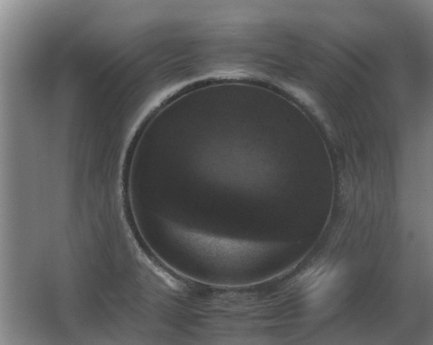 X0000067341327200603311116
